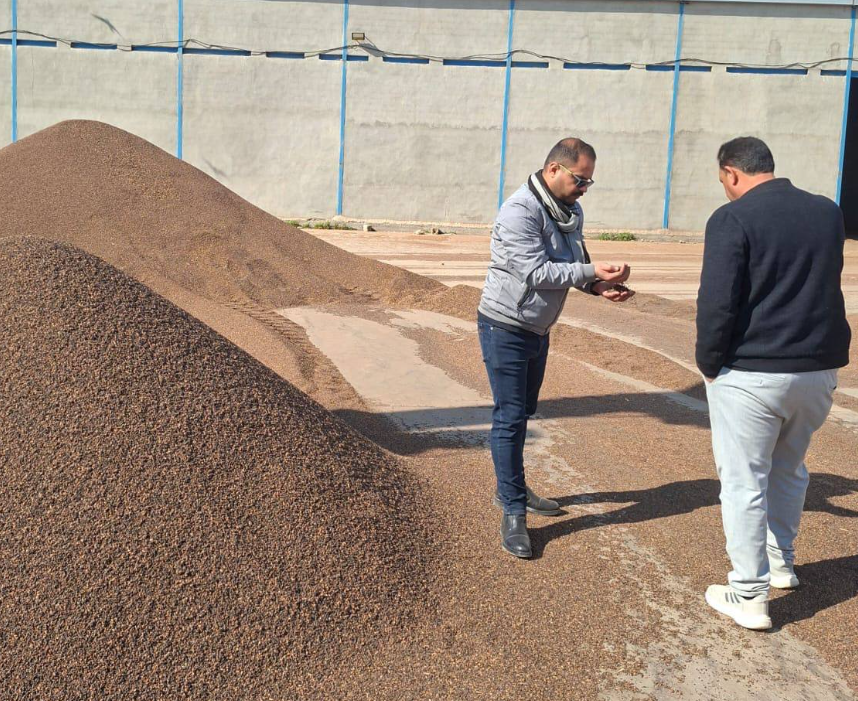 التجارة: ضبط كميات من الحنطة المصبوغة في الديوانية